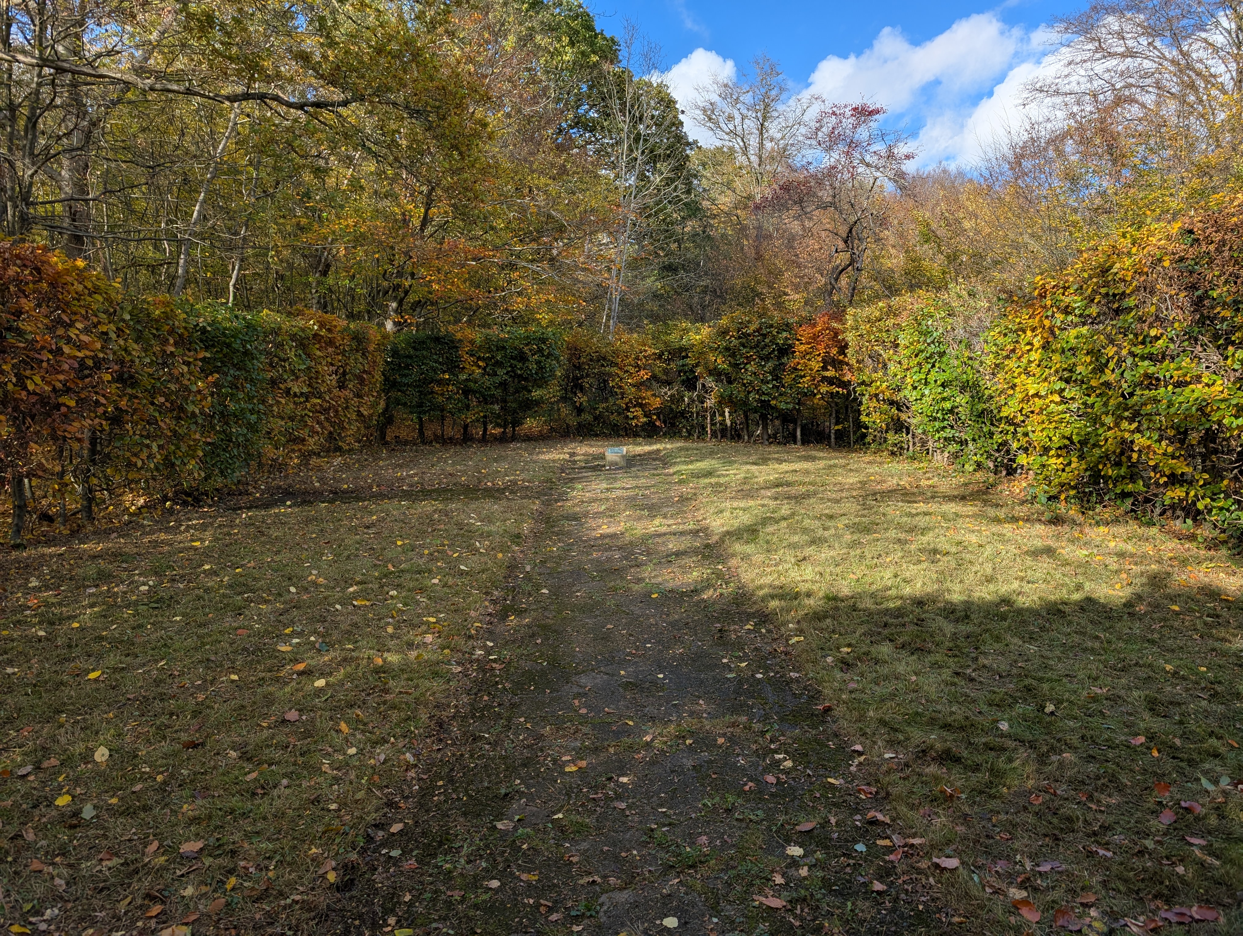 Ruislip Woods Youth Chapel looking much better!